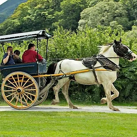 Eviston House 3* Killarney